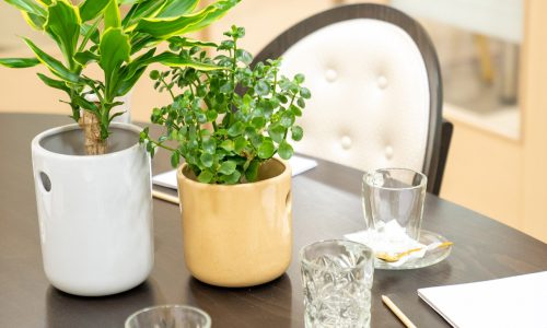 yiamouris_0143_54399 yiamouris_0143_54399